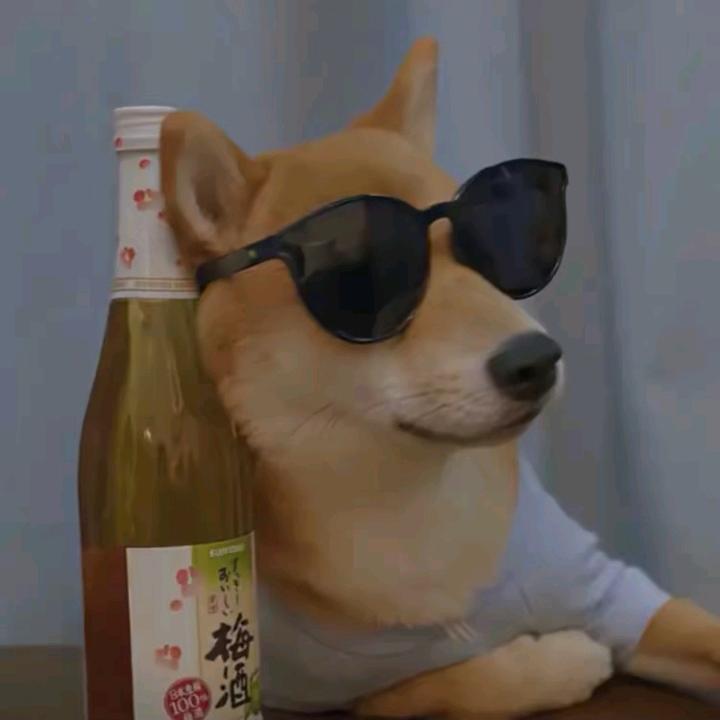 大河啊