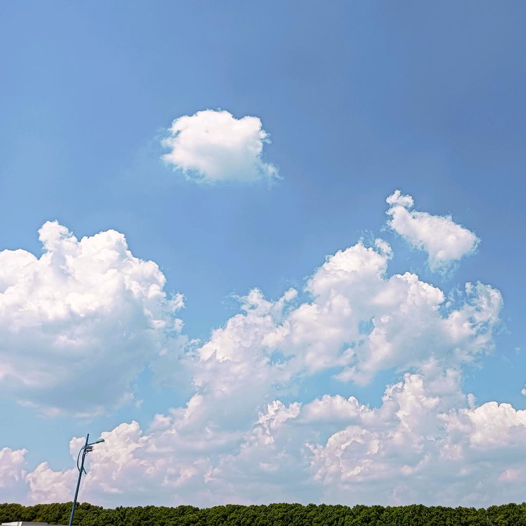 你好！明天“…”