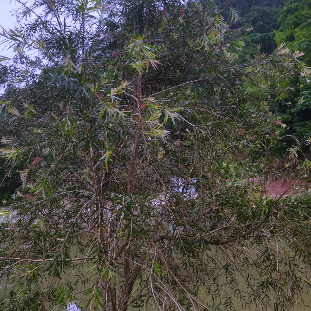 缘头像