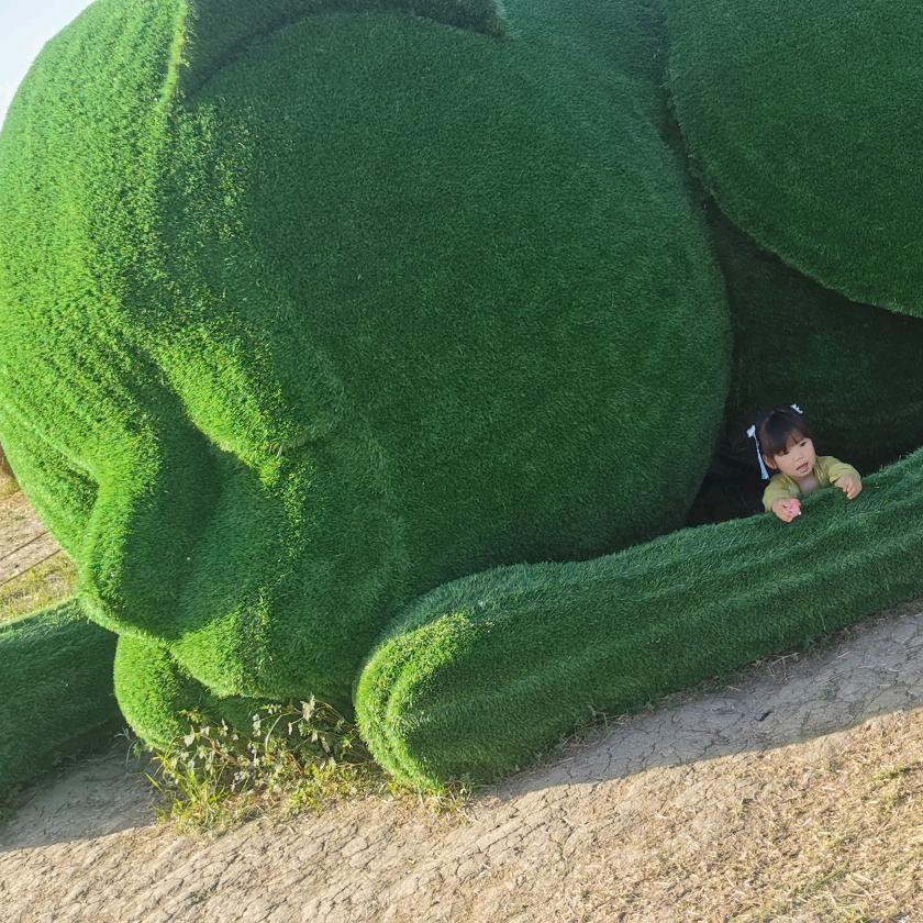 瑶一瑶