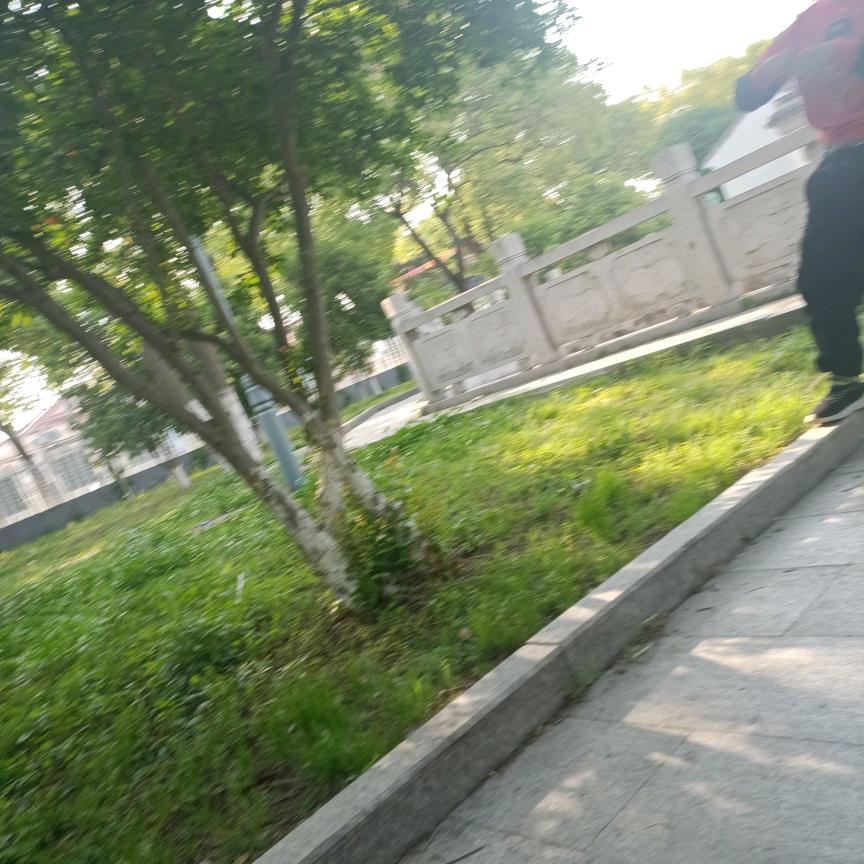 启飞妈