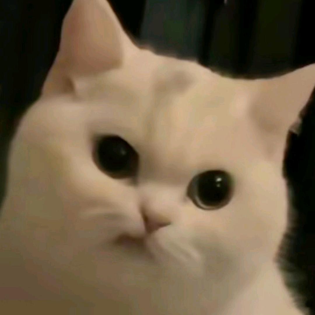 耳东木西