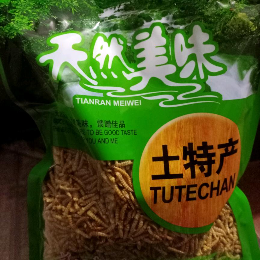 虫霸天下