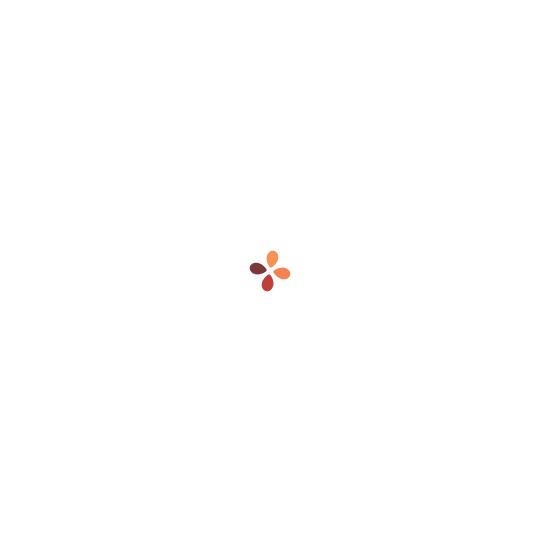 静