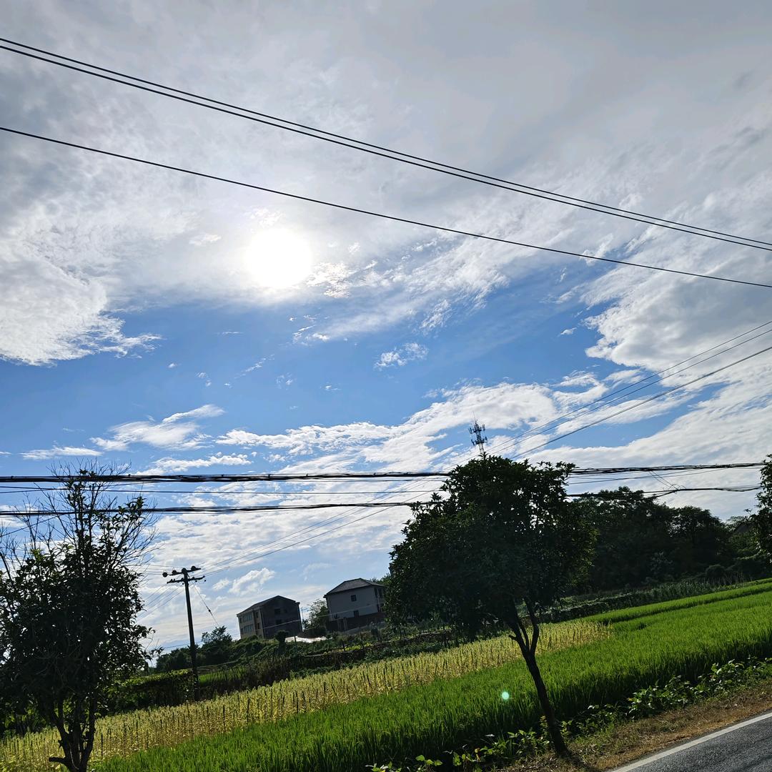 怀玉