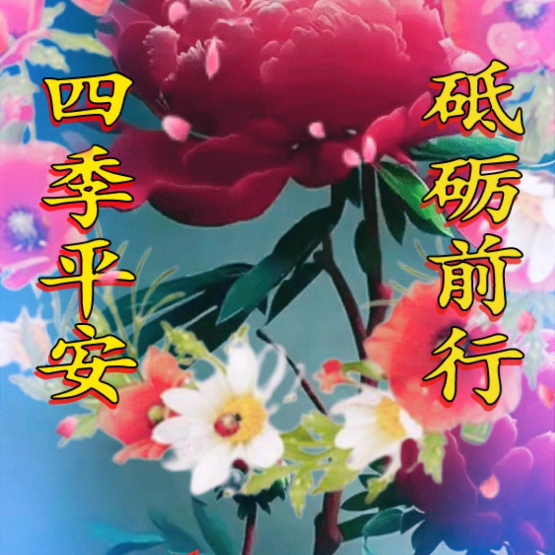 胡涂真好@