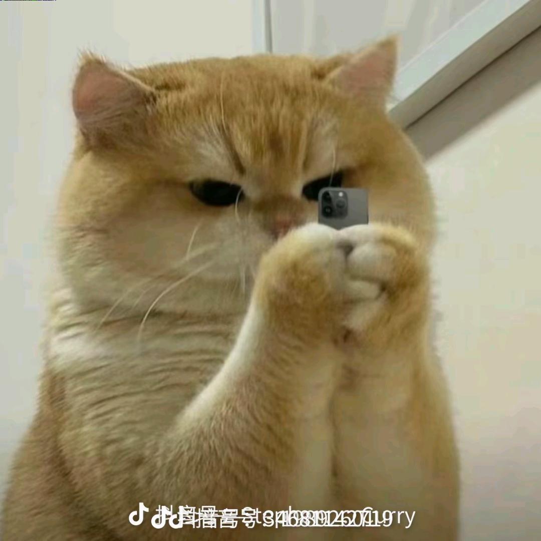 回关内部号