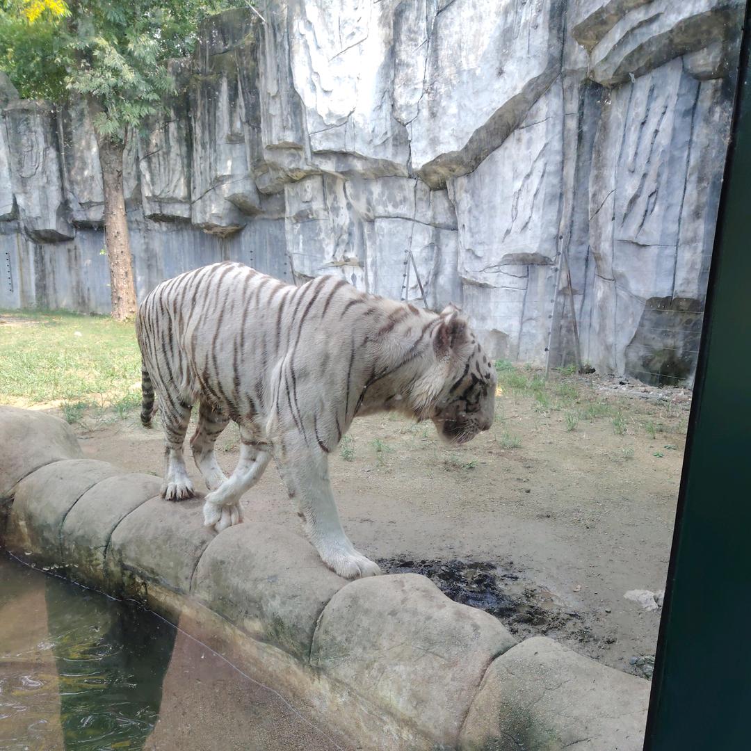 丹阳揽胜纸箱包装