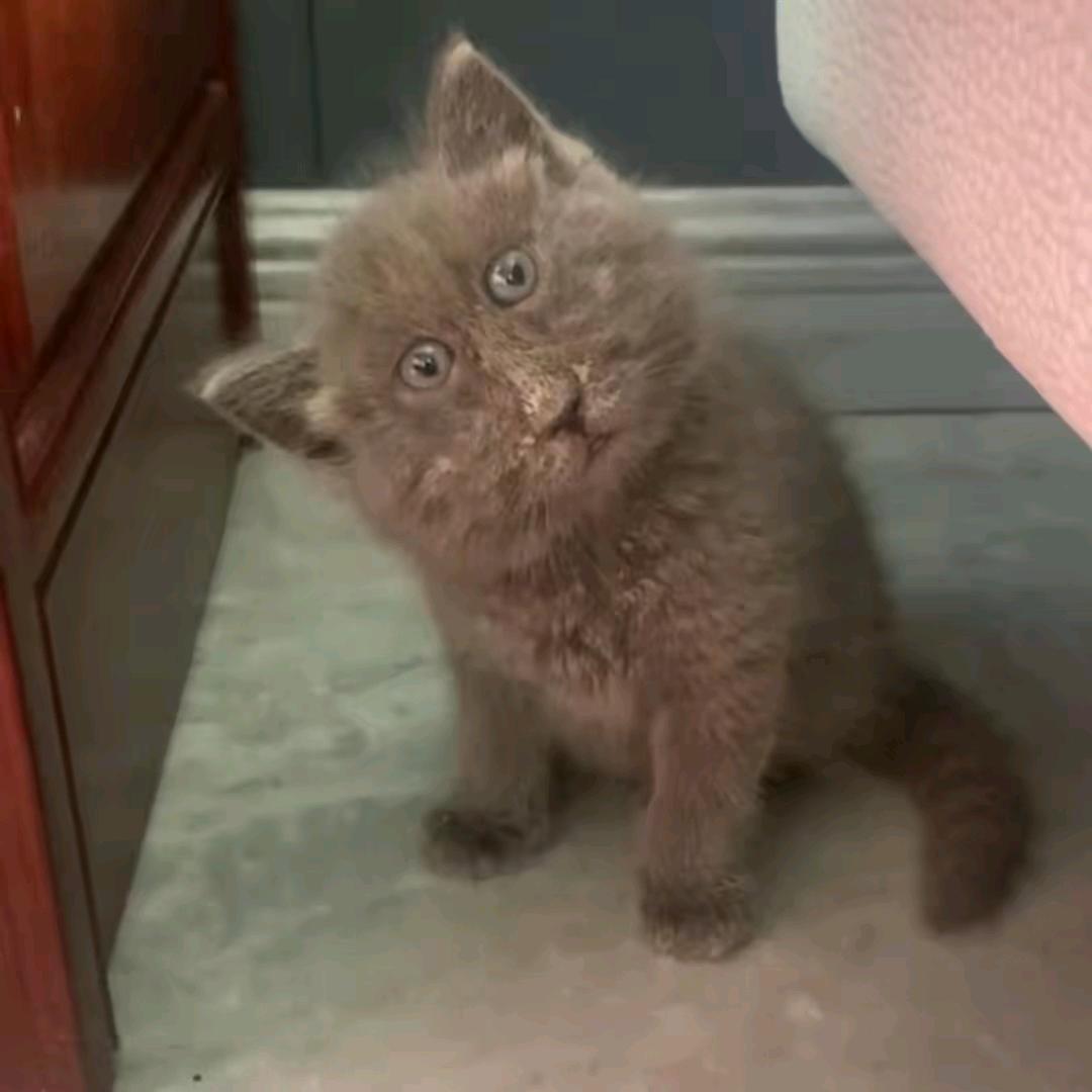 🚐涛声依旧❤️