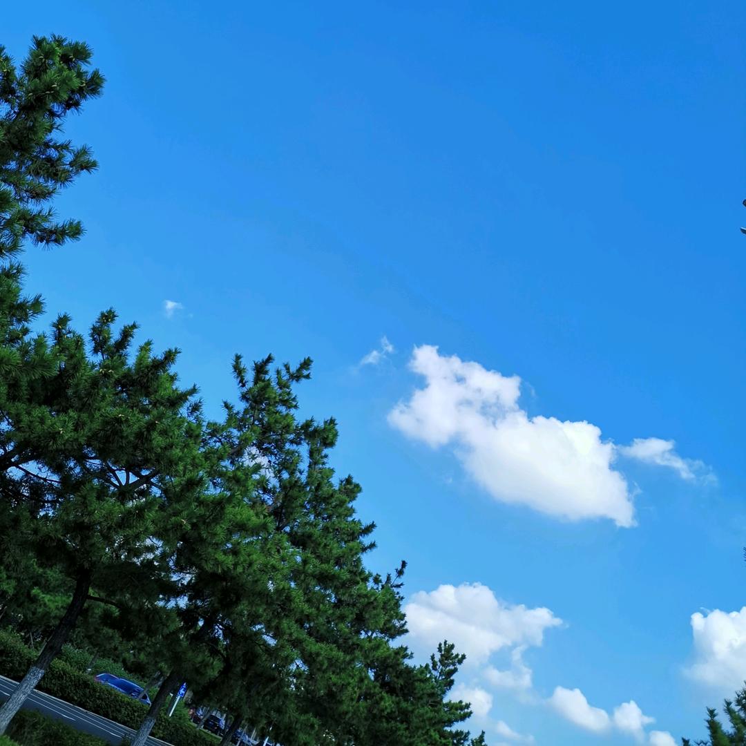 羽姝（国家心理咨询师三级）