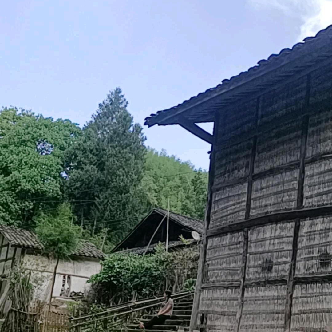 竹海乡货阿妹土特产