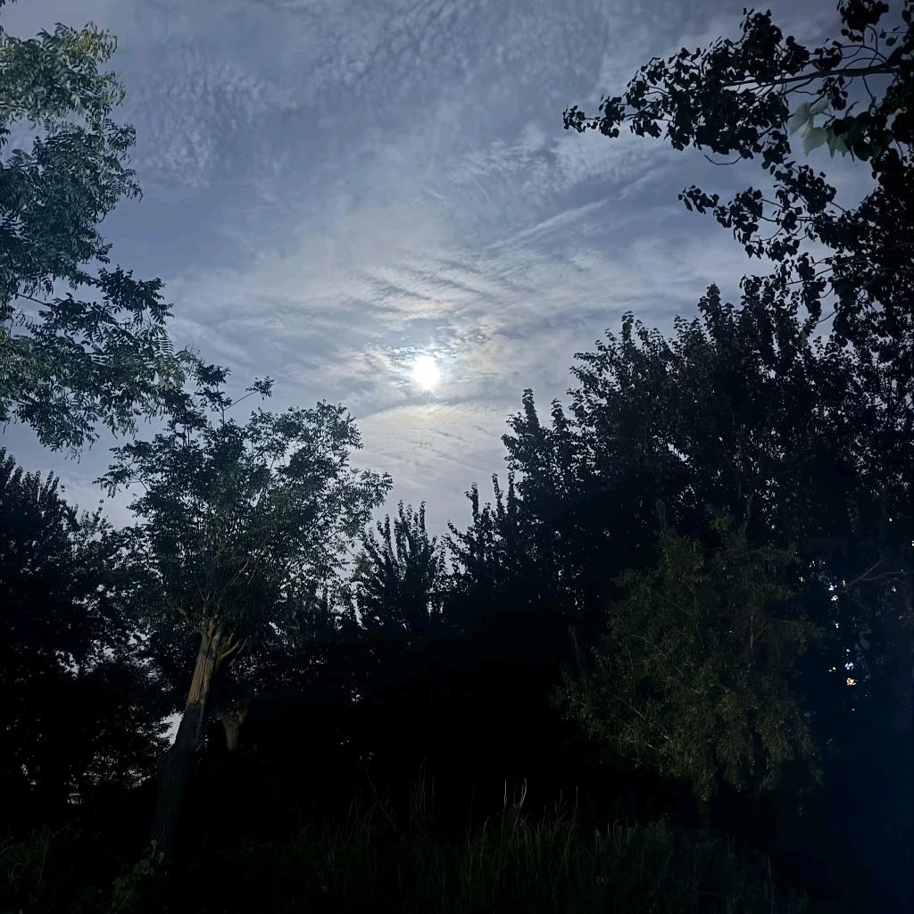 卖水果的小俩口