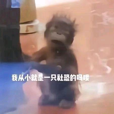 吗喽一号