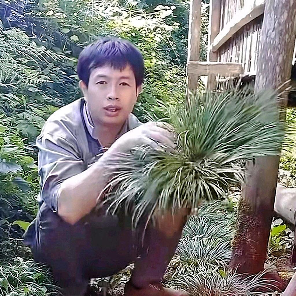小林子