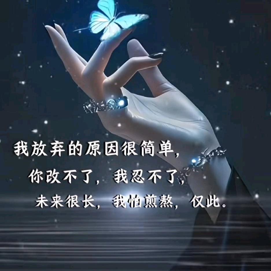 只若初见