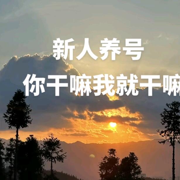 养号中