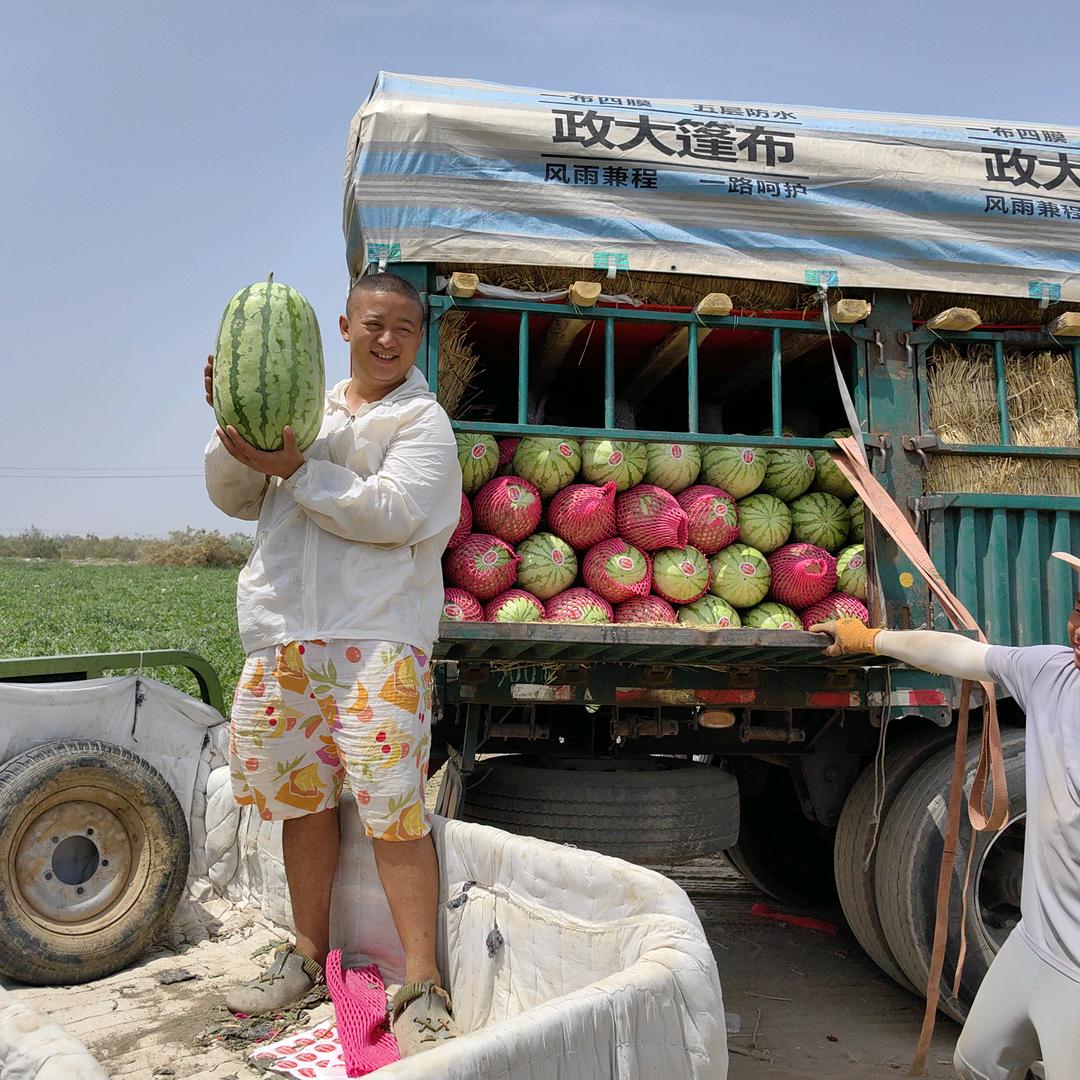 双福唐小胖(承接代采代卖)