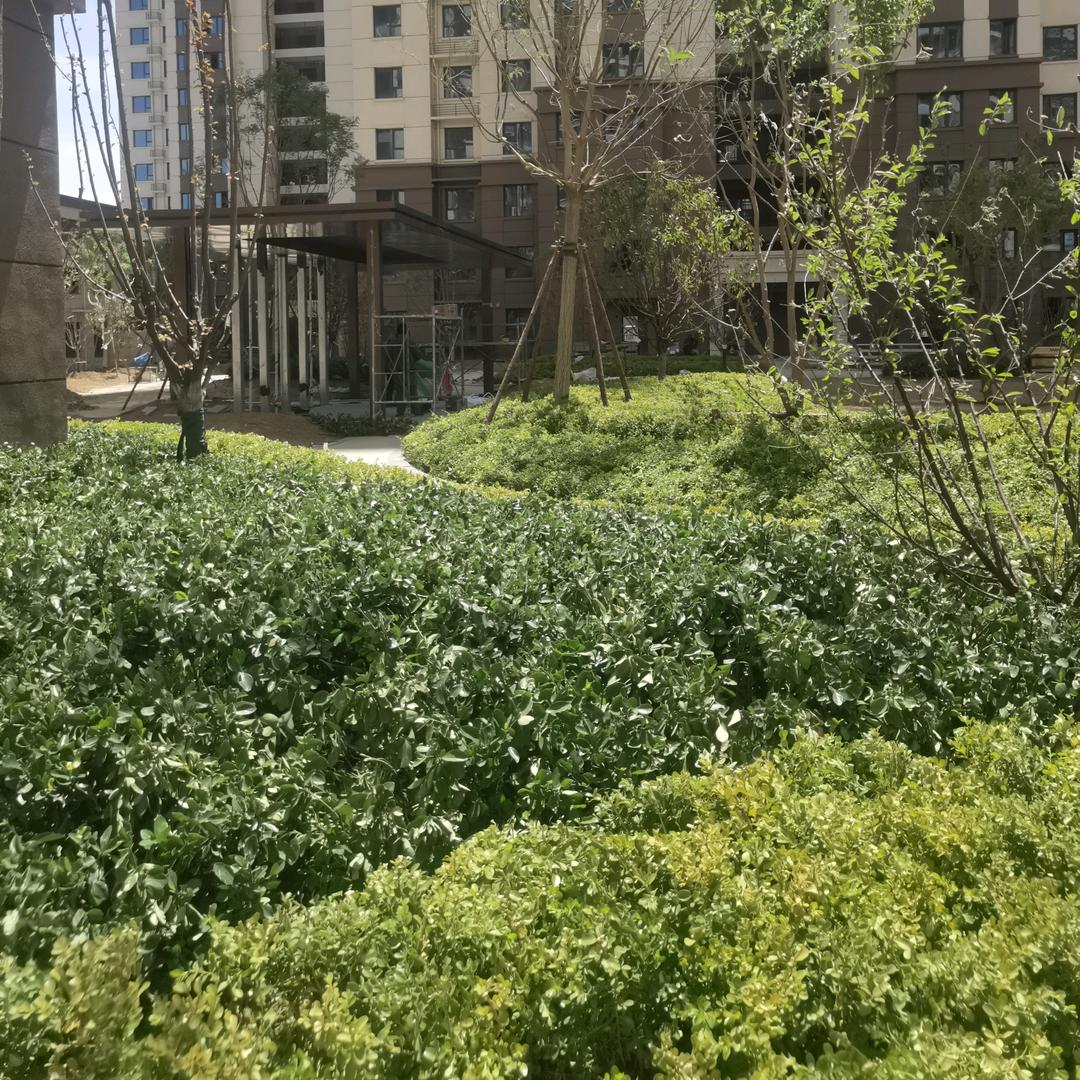 邯郸装修阿森