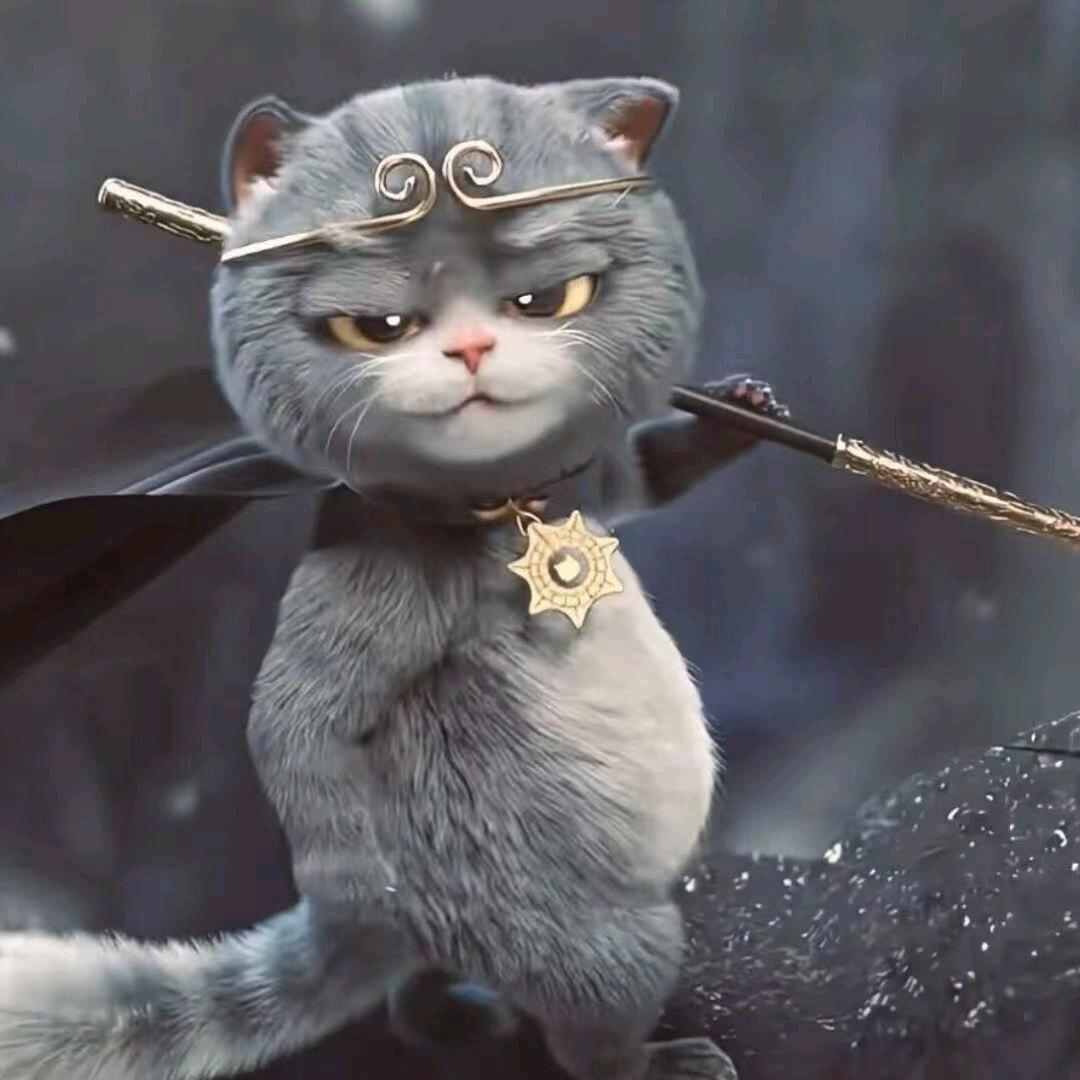 。。。。。。。