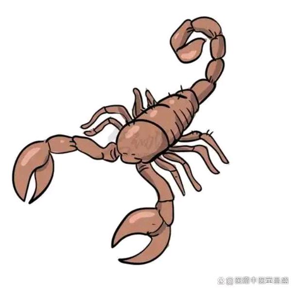 浅溪（田晓歌）