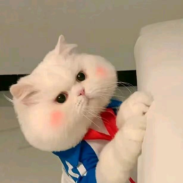 灰太狼大王