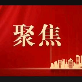 聚焦飘逸飘的荒