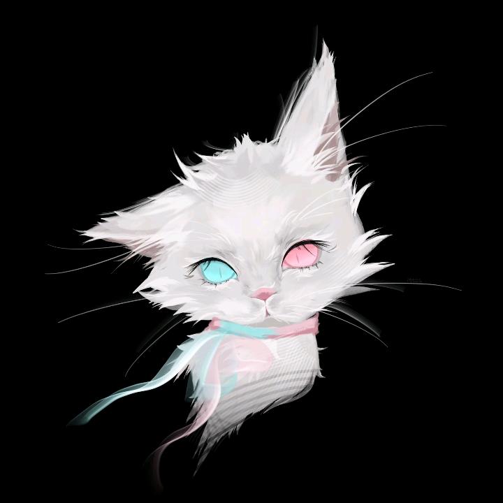 馒头得配王老吉