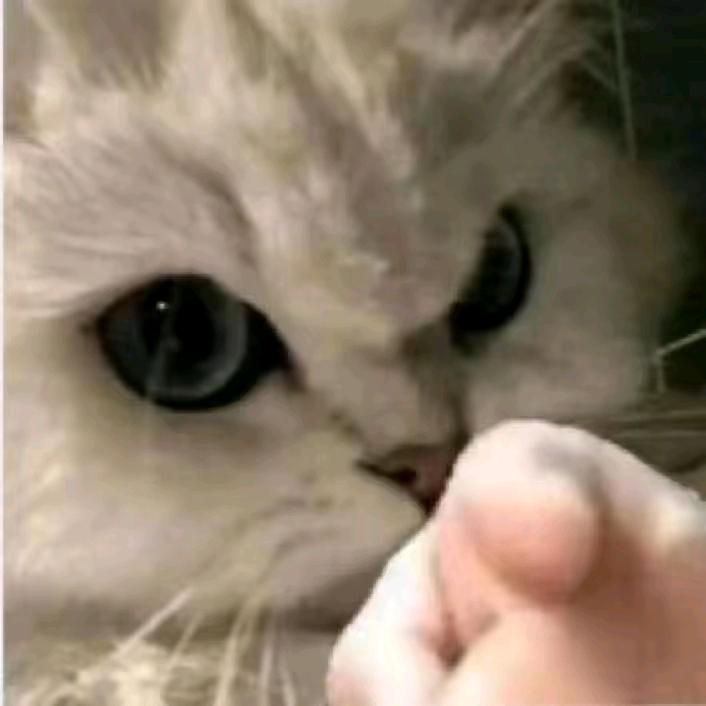 l,l