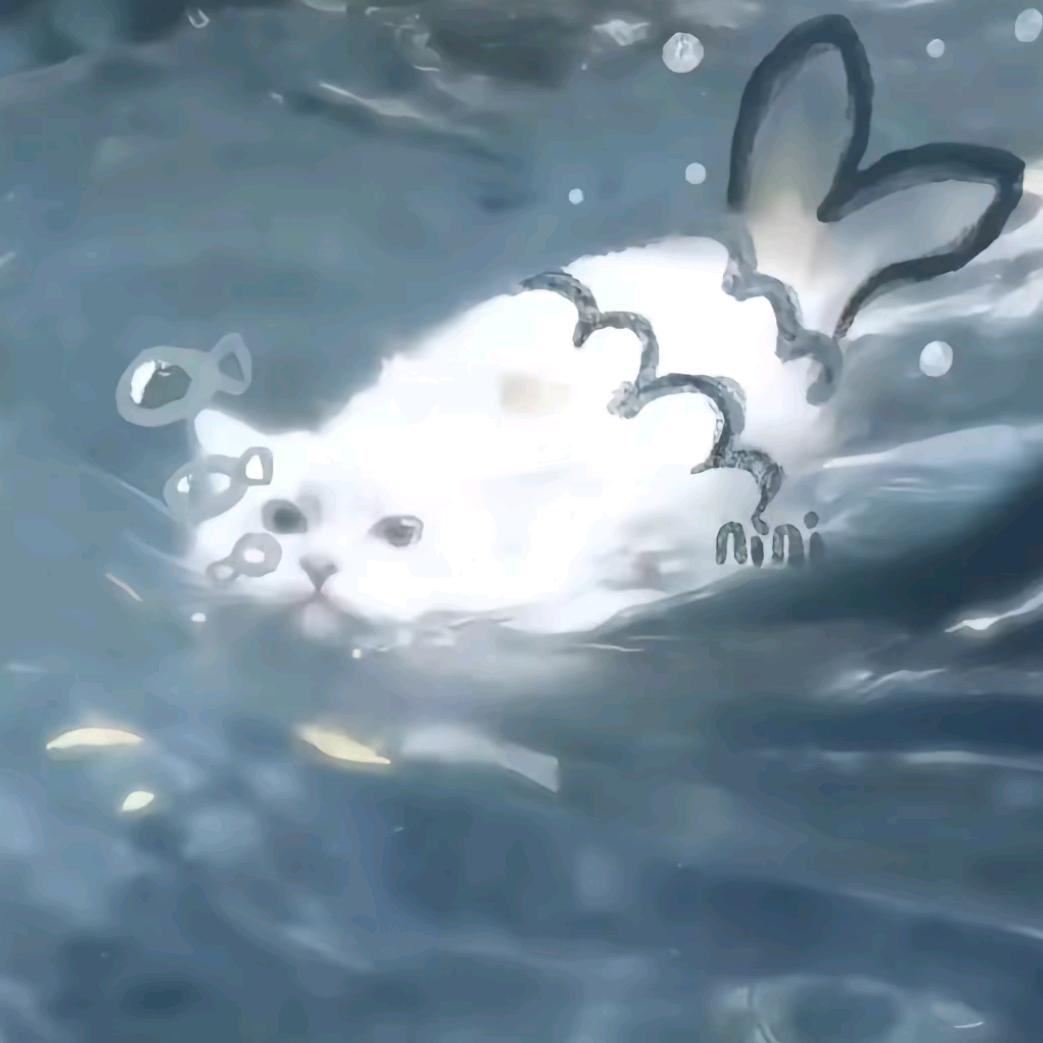 泡泡鱼.🫧