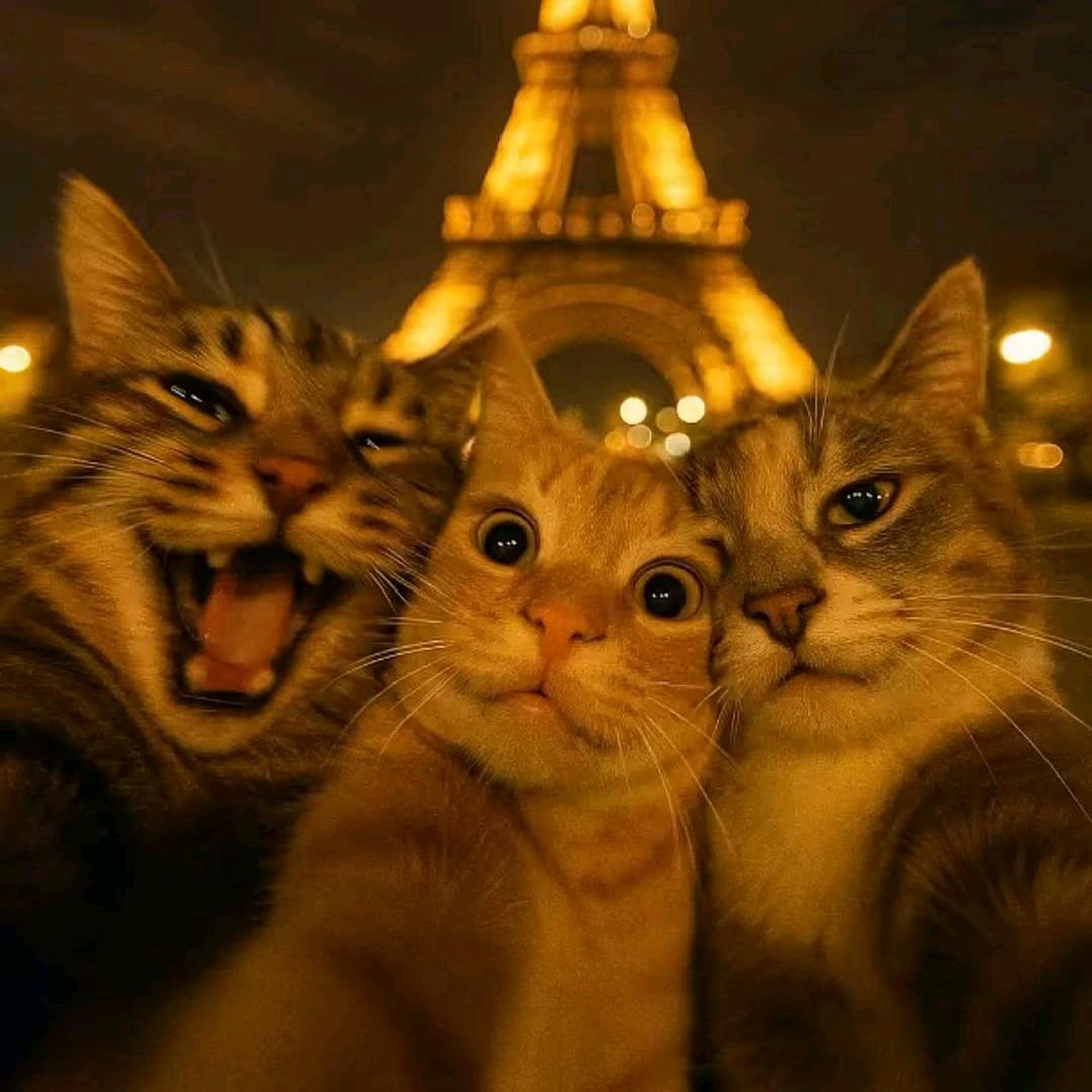 金锣