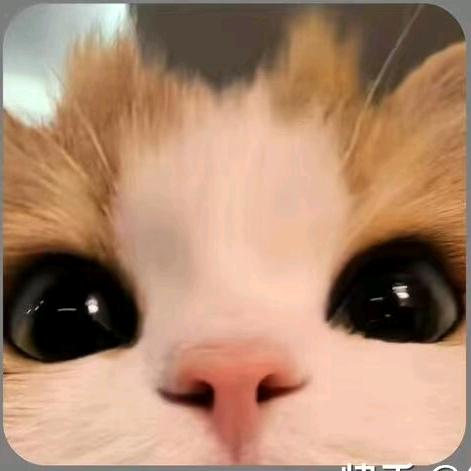 羁鸟