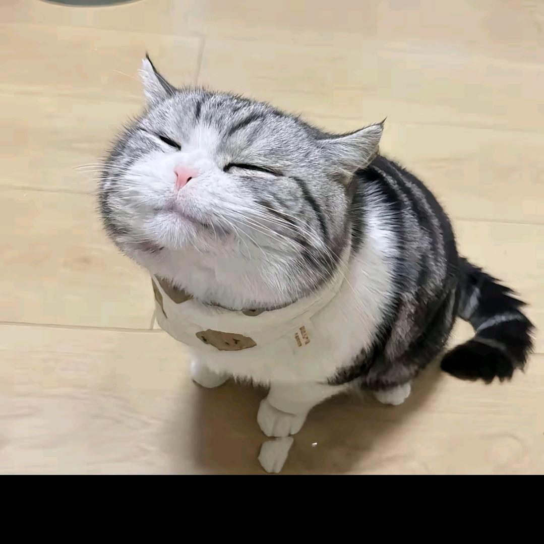 时来运转石先生头像
