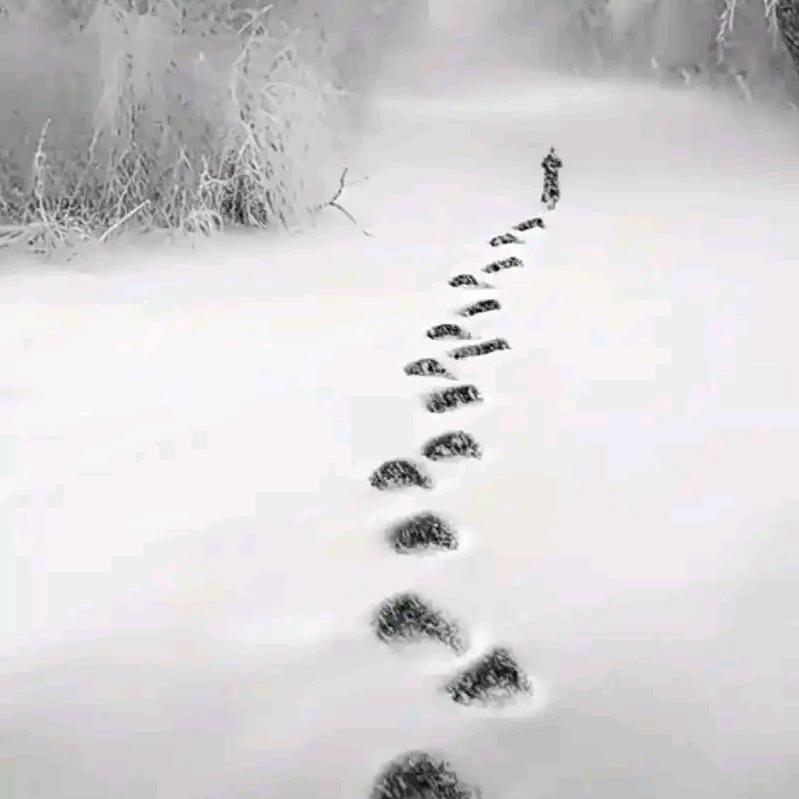 半生风雪半生伤 ⁵²⁵⁹