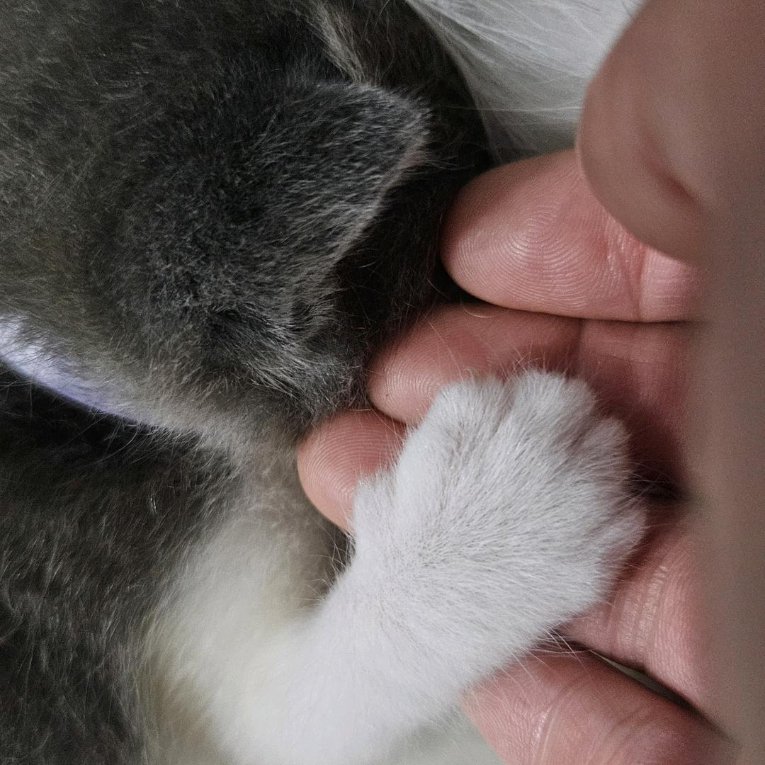 哈哈