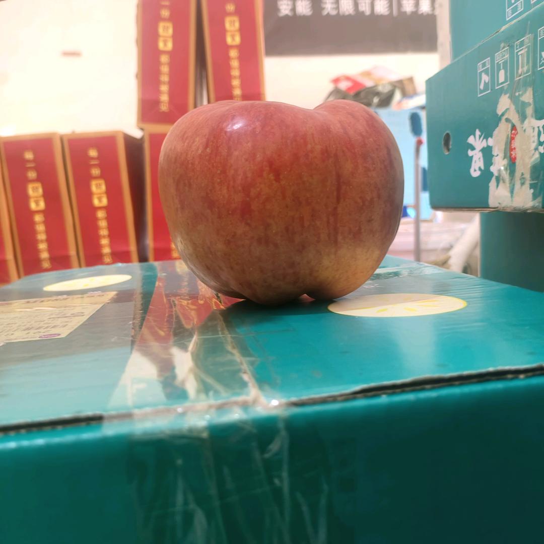 昭阳区渔儿果蔬优品严选