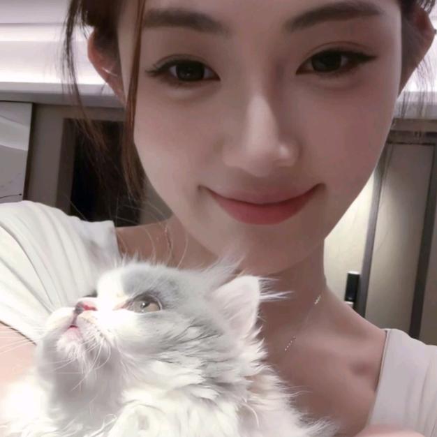 小猫呆呆✨