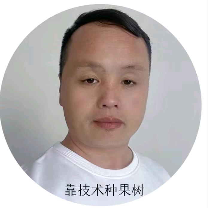靠技术种果树(黄永)