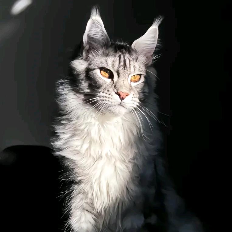 ^雾隐青山終無痕^