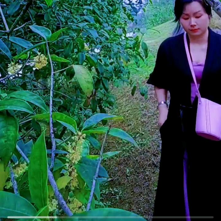 李敏1060818901