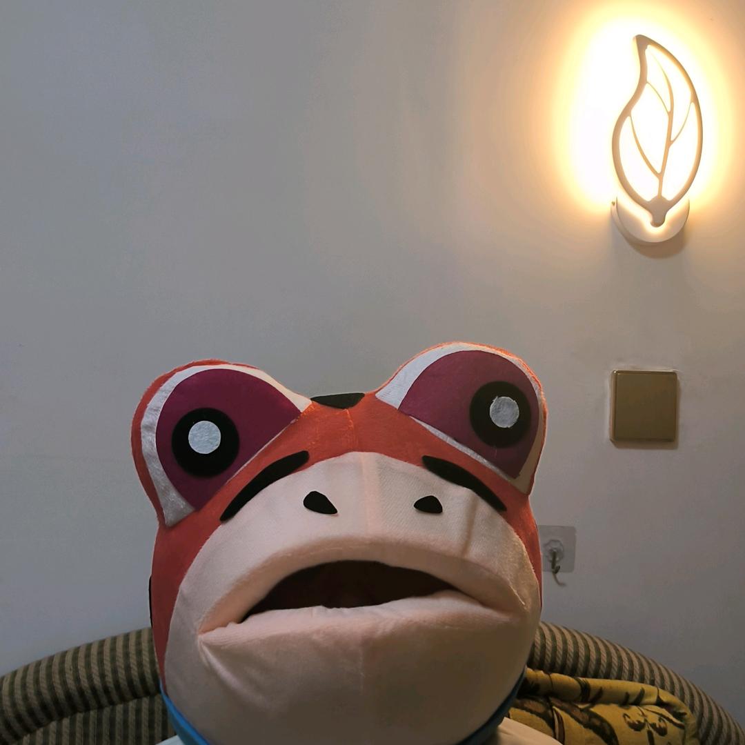 青蛙🐸