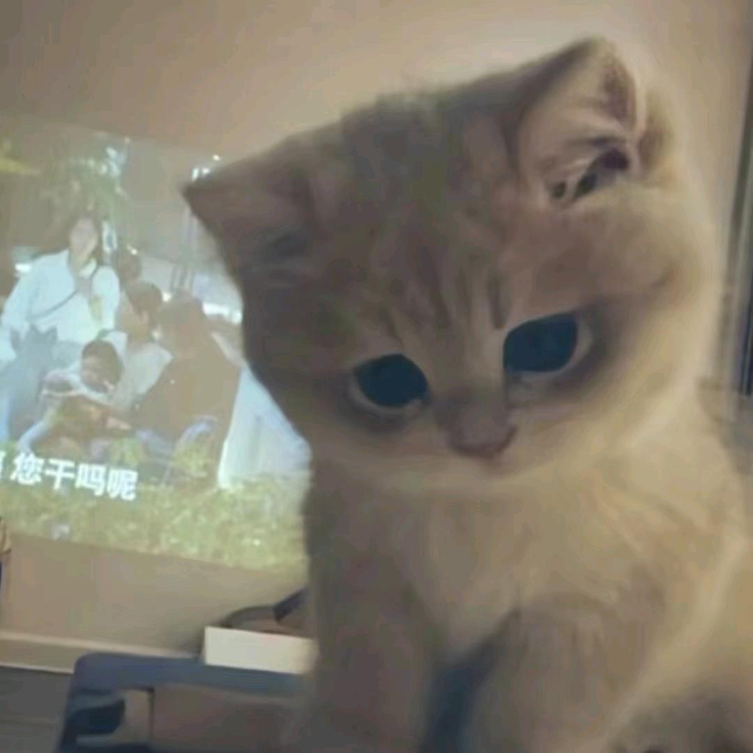 浮云