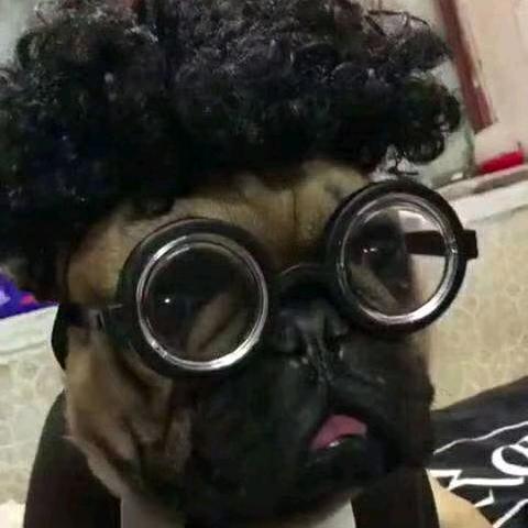 打败熊猫我就是国宝🐼