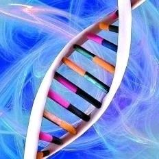 林旭生物讲堂（有网课）