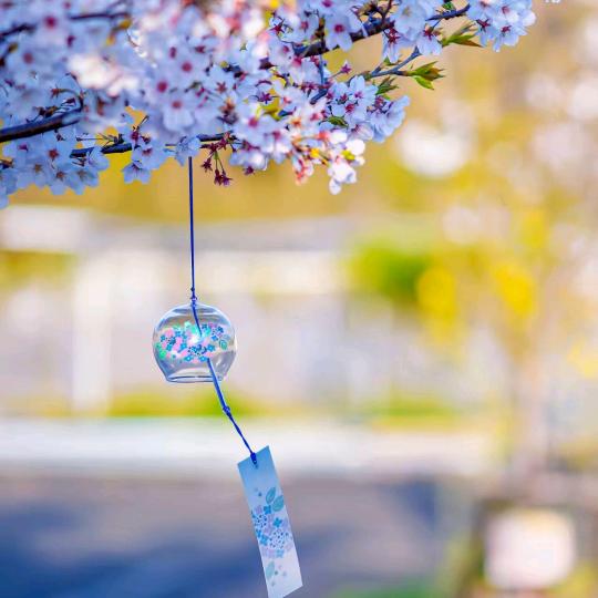 ღ᭄💰钱包谷谷ღ᭄