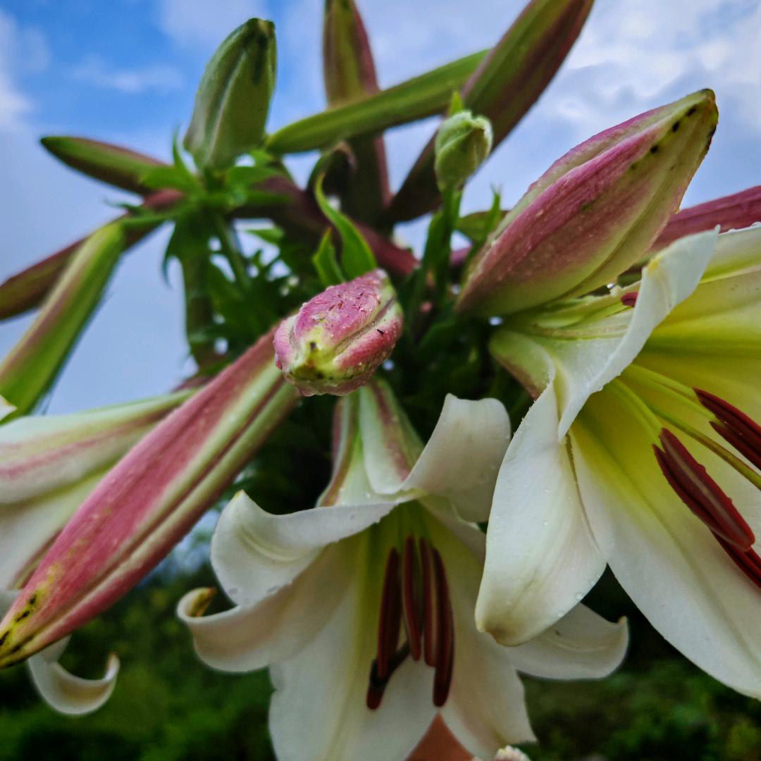 往事清零，善待自己