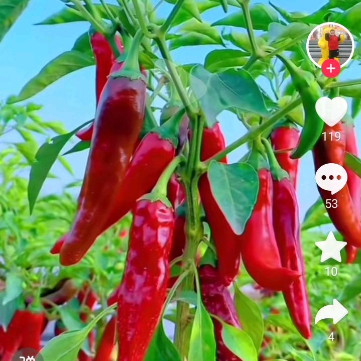 开心快乐 677536820350