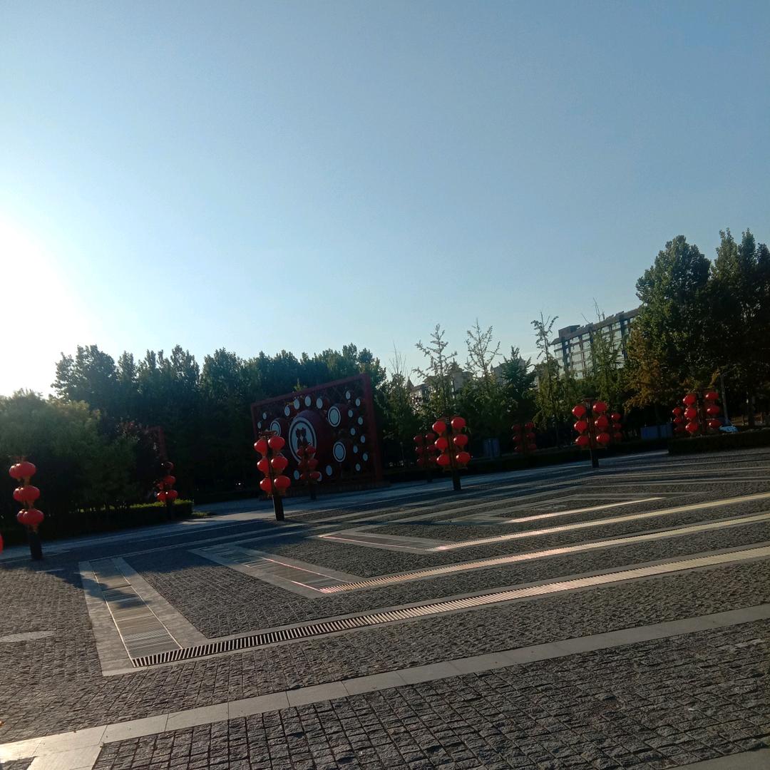 芳华依旧，