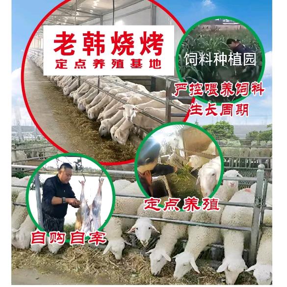 老韩烧烤一鲜羊肉馆