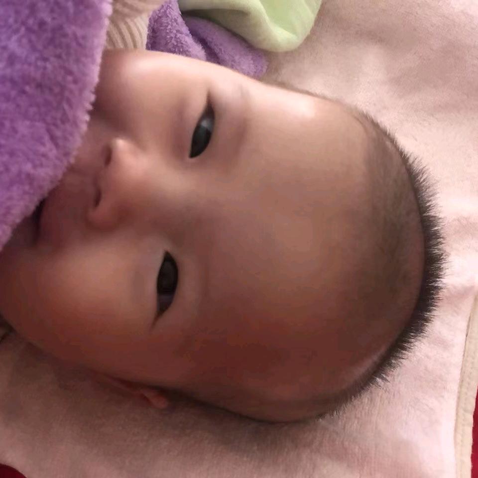 一臭宝