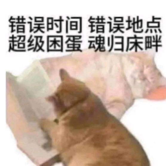 白给桑